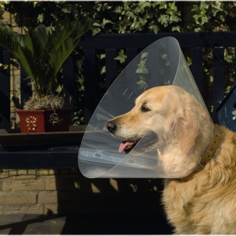 BEEZTEES ветеринарный ошейник D28-33 x 12,5cm