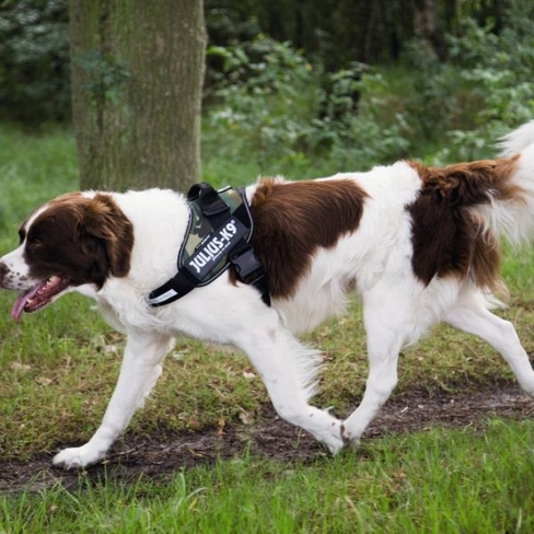 BEEZTEES  Шлейка K9 IDC Powerharness Size 2 CAMO 71-96