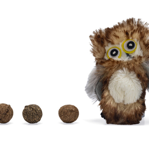 BEEZTEES jucărie pentru pisici OWL cu iarba pisicii