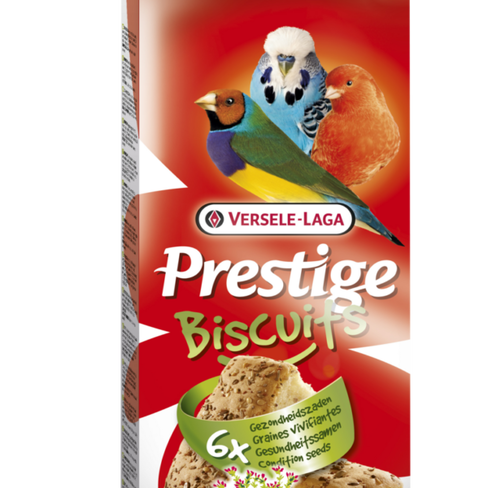 BISCUITS Bird Condition Seeds 6pc