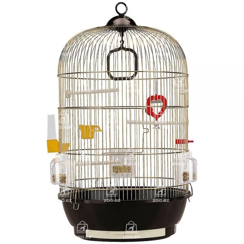 Colivie DIVA ANTIQUE BRASS