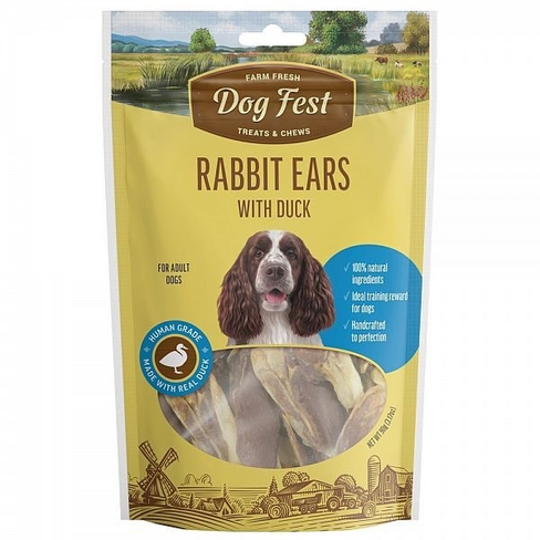 Dog Fest Rabbit Ears with Duck