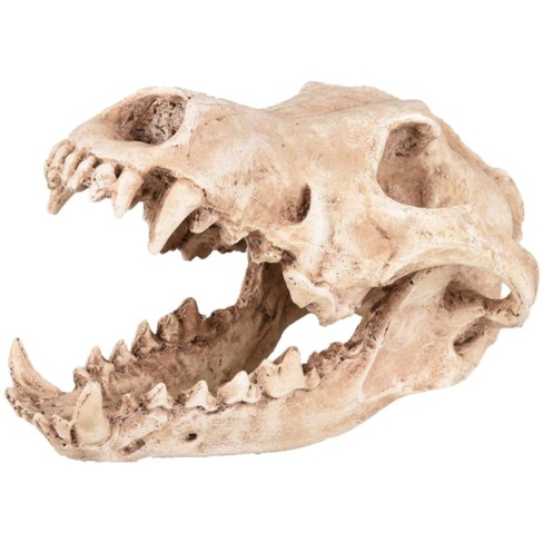 Flamingo Декор пластиковый SKELO SKULL PREDATOR