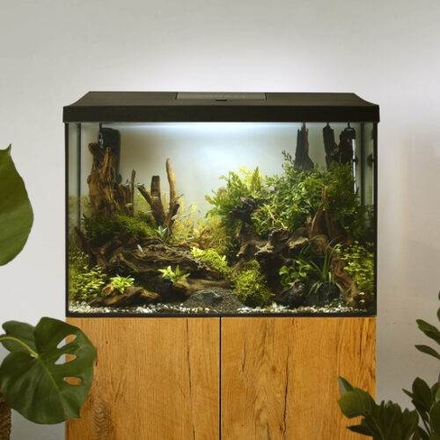 AQUAEL Aquarium set LEDDY 60 D&N 2.0