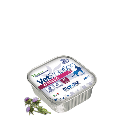 MONGE VETSOLUTION CAT RECOVERY 100gr