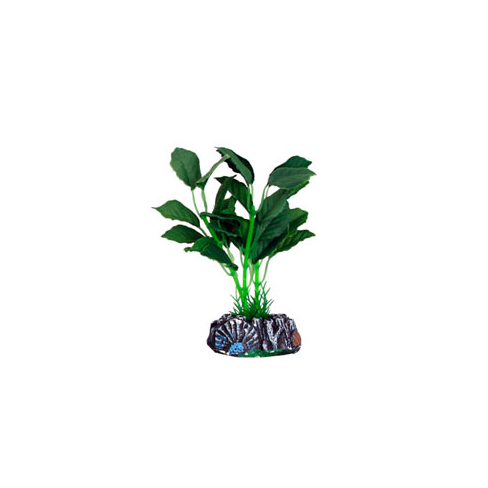 Пластик. растение BRASIL Plant1