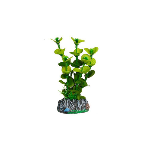 Пластик. растение BRASIL Plant5