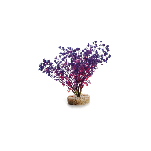 Растение пластик. Aqa Friend Wild Plant