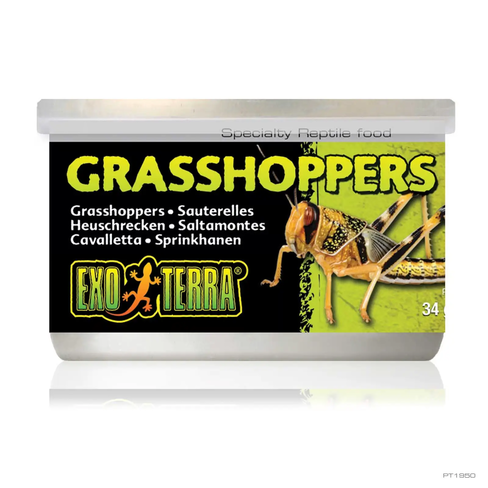 Exo Terra Grasshoppers – lăcuste conservate pentru reptile