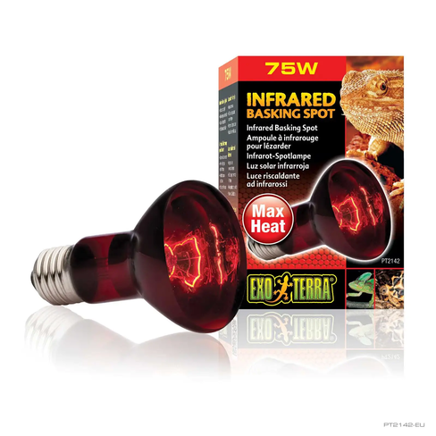 Bec infraroșu pentru încălzirea terariului Exo Terra Heat Glo Infrared Lamp, 75W