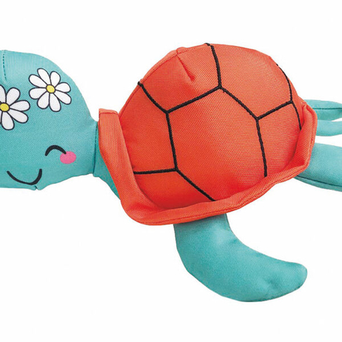 Record Jucărie de apă TARTARUGA