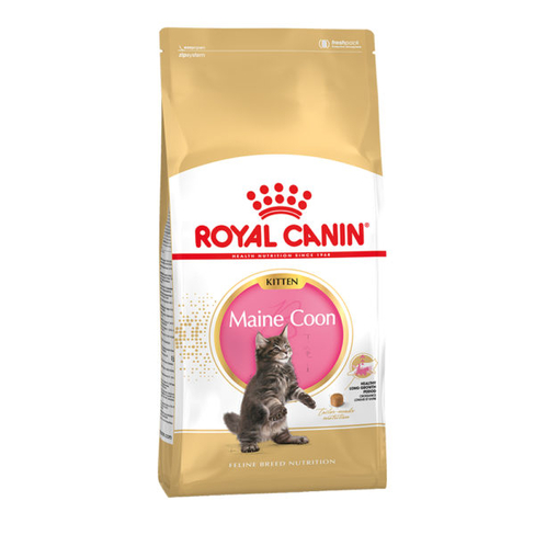 ROYAL CANIN MAINE COON KITTEN