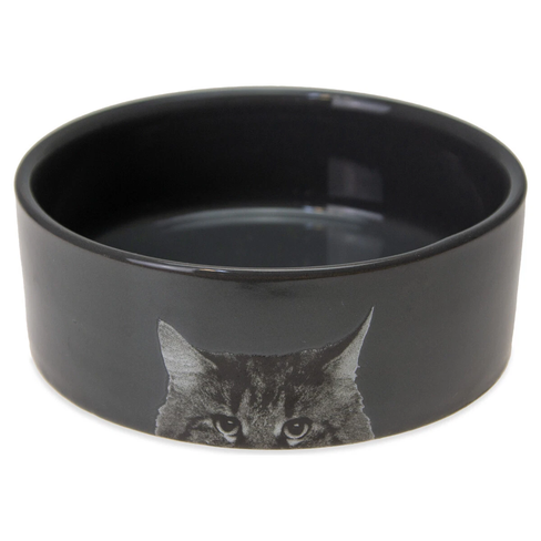 Bol ceramic pentru pisici cu decor
