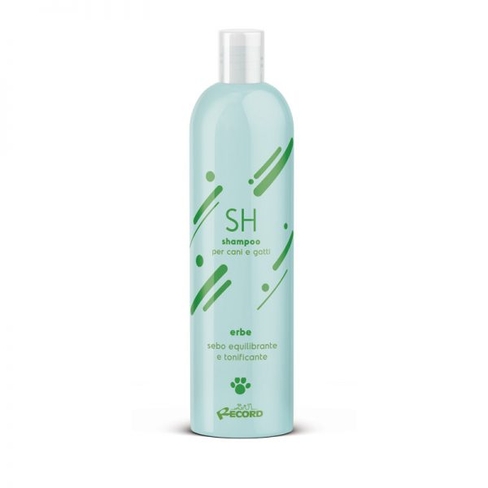 Шампунь RECORD ALL with Herbal Extracts