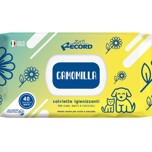 Șervețele RECORD Maxi Chamomile 40pcs