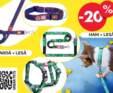 Reducere -20% la Max & Molly — accesorii stilate pentru câini