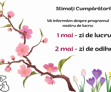 График работы в праздничные дни