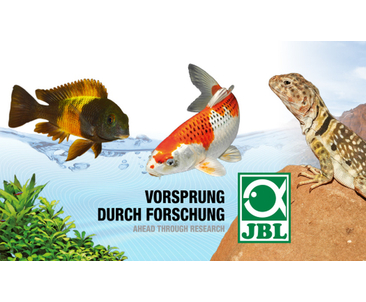 Большое возвращение JBL GmbH & Co. KG в ZooRoyal!