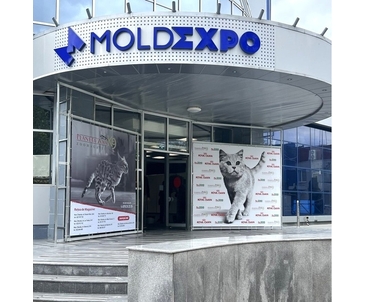 La Chișinău a avut loc o spectaculoasă expoziție de Pisici și Pisoi 2026: facem totalurile unui weekend dedicat iubitorilor de pisici