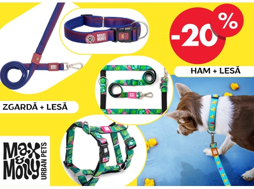 Reducere -20% la Max & Molly — accesorii stilate pentru câini