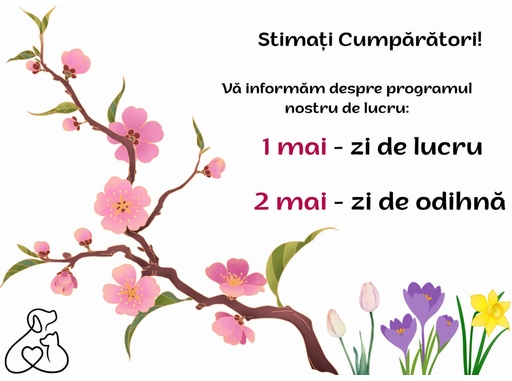 Programul de lucru în perioada sărbătorilor