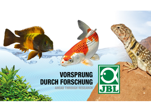 Marea revenire JBL GmbH & Co. KG la ZooRoyal!