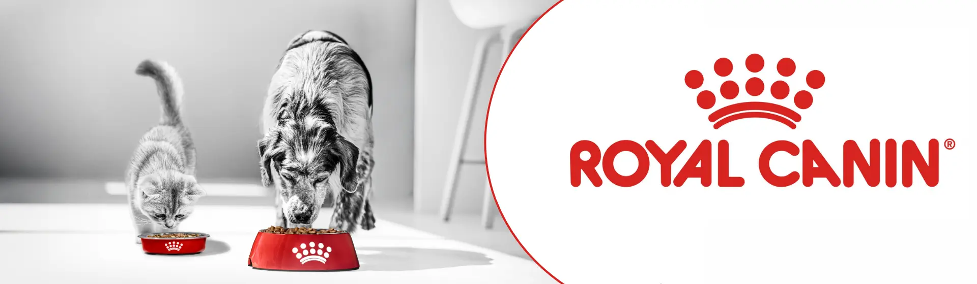 Hrana caini pisici Royal Canin