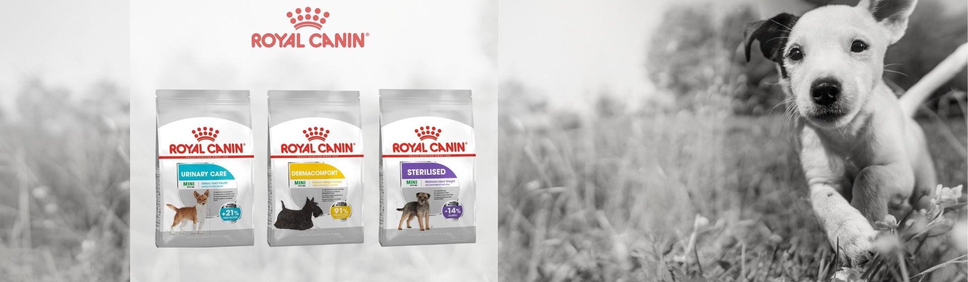 Royal Canin Mini