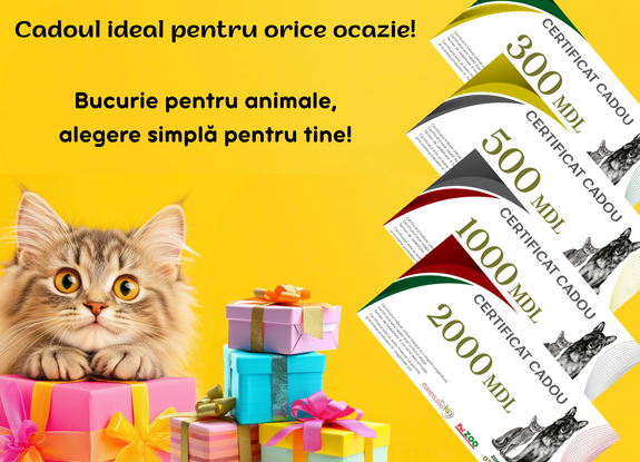 certificat cadou!