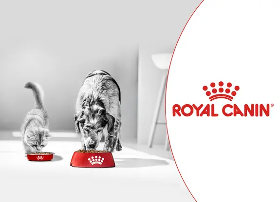 Hrana caini pisici Royal Canin