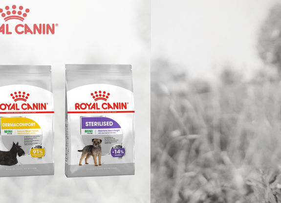 Royal Canin Mini