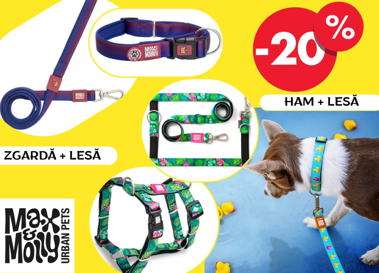 Reducere -20% la Max & Molly — accesorii stilate pentru câini