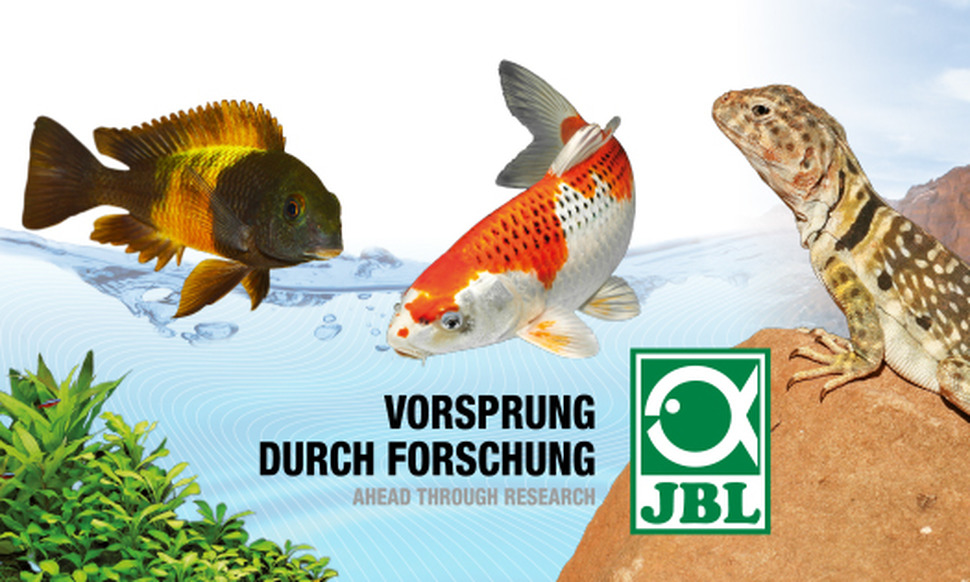 Большое возвращение JBL GmbH & Co. KG в ZooRoyal!