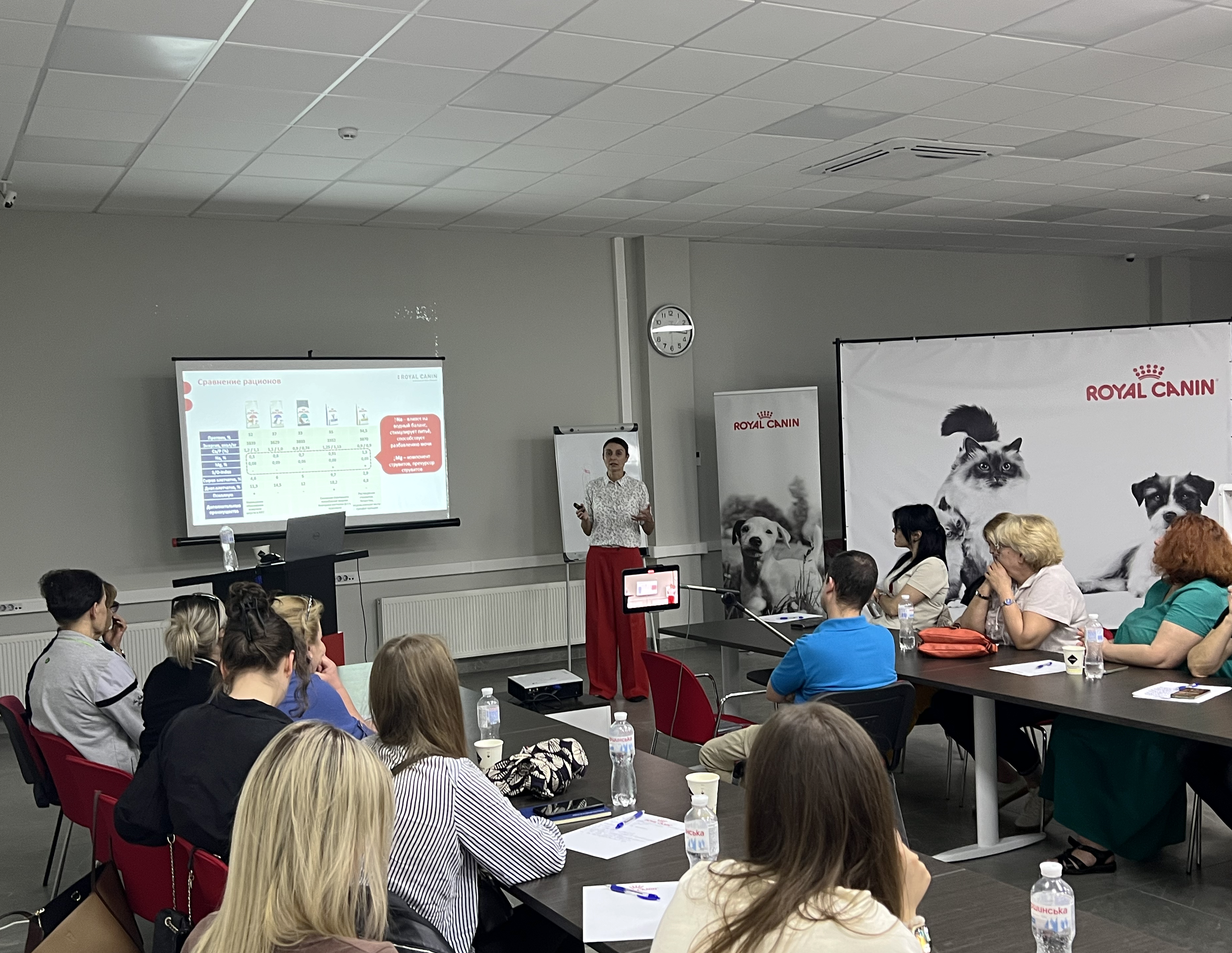 Alimentația sănătoasă – baza sănătății: concluziile seminarului Royal Canin