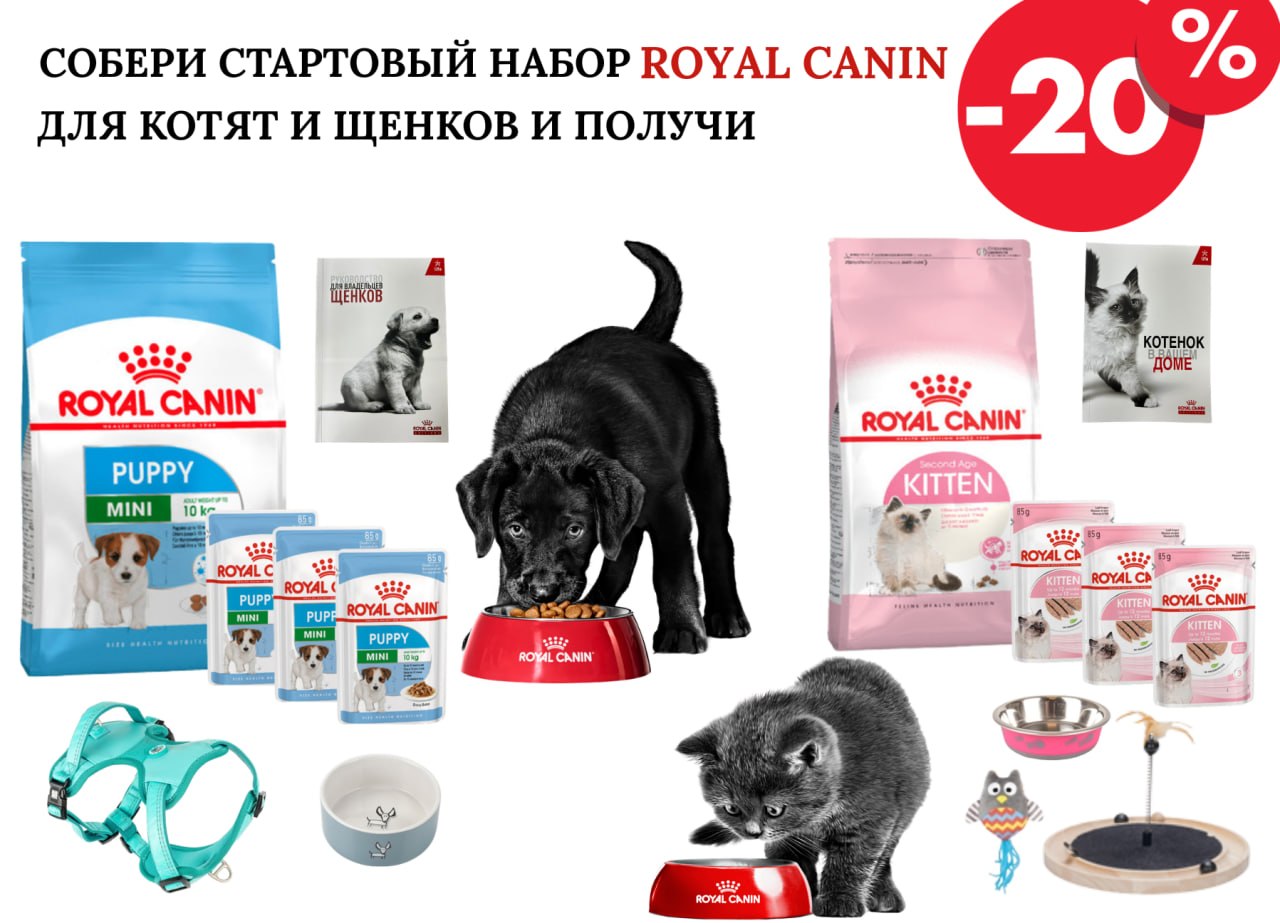 Creează Kitul de Start Royal Canin și primește 20% reducere!