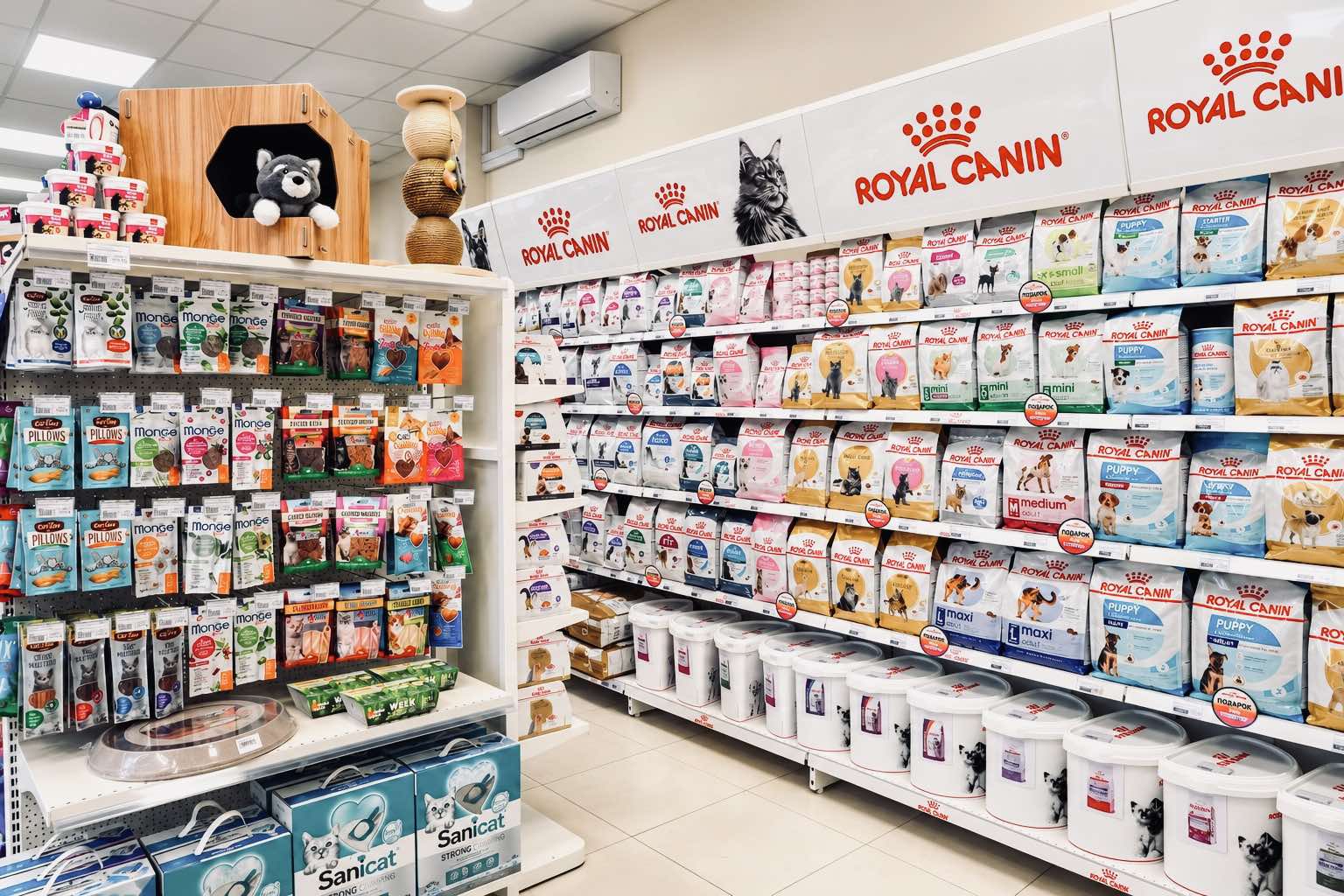 Deschiderea noului magazin Planeta Zoo K9 în Chișinău – Reduceri la toate produsele pe 1 noiembrie!