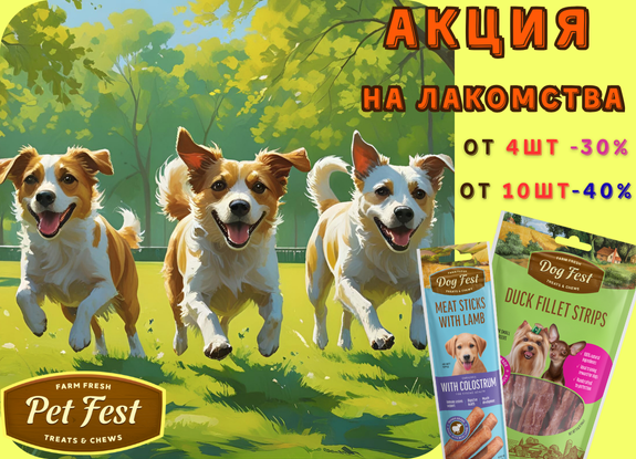PetFest