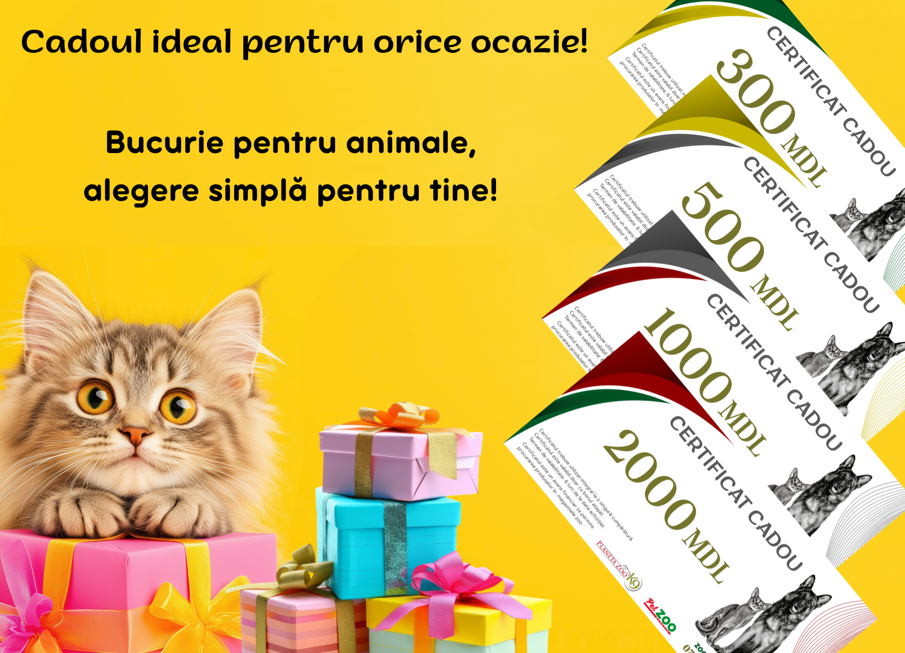 certificat cadou!