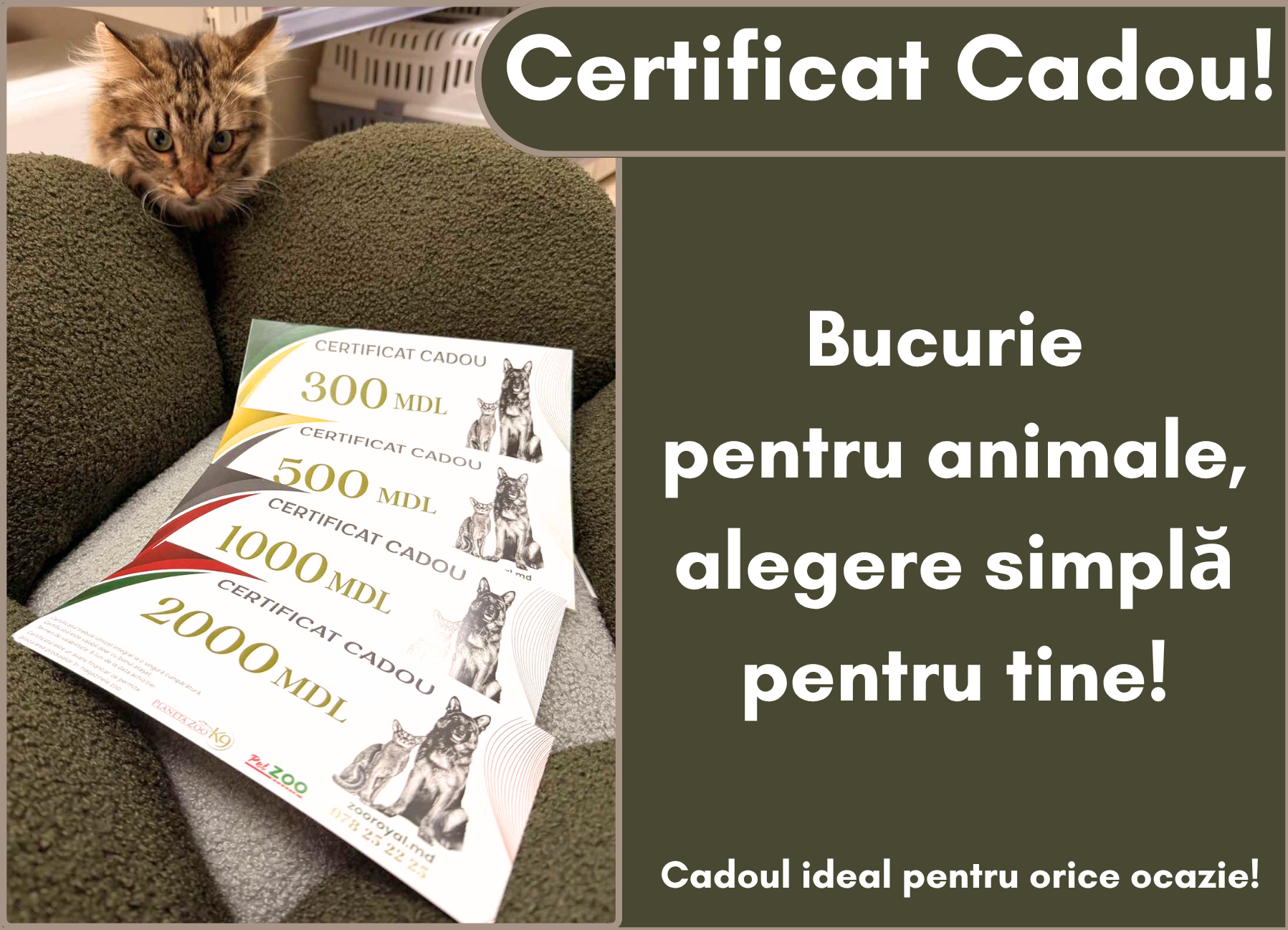 certificat cadou!