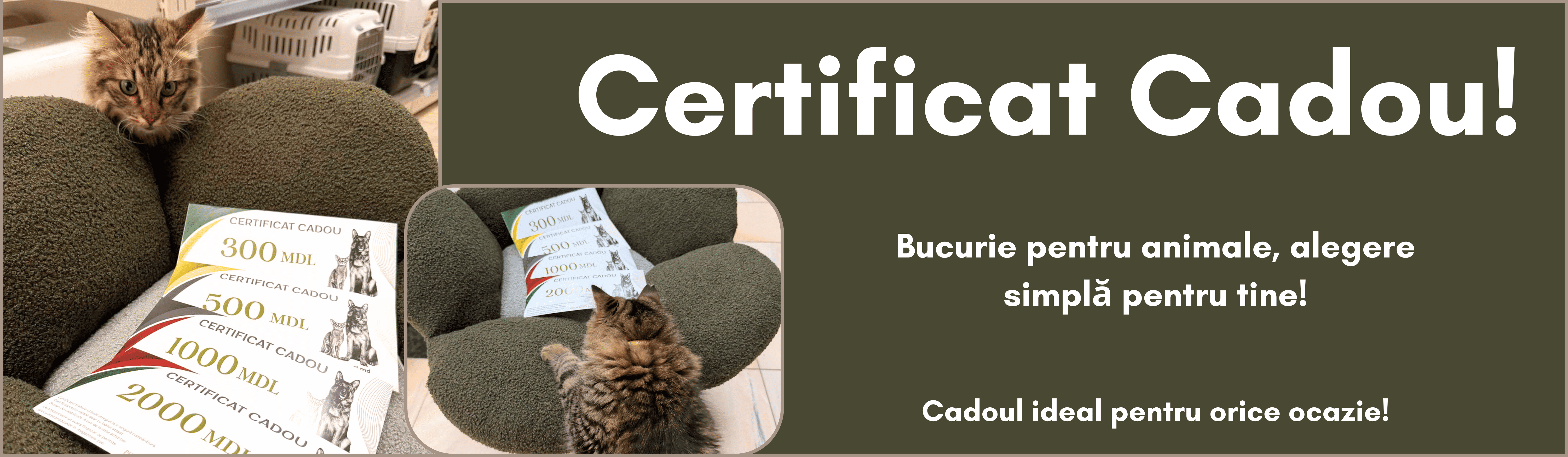 certificat cadou!
