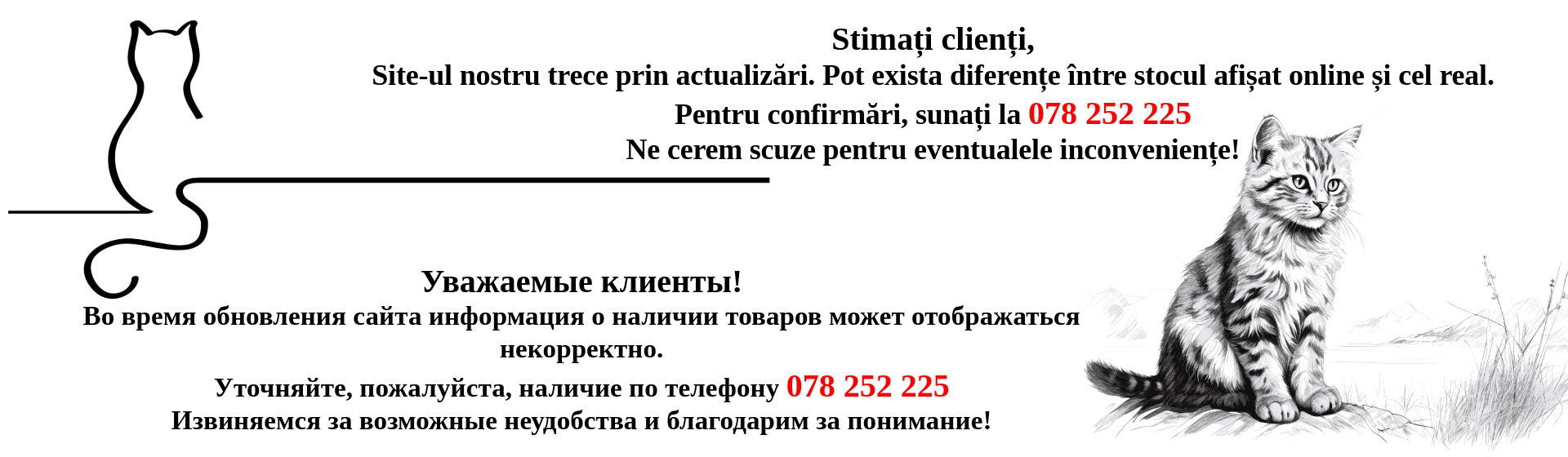 info