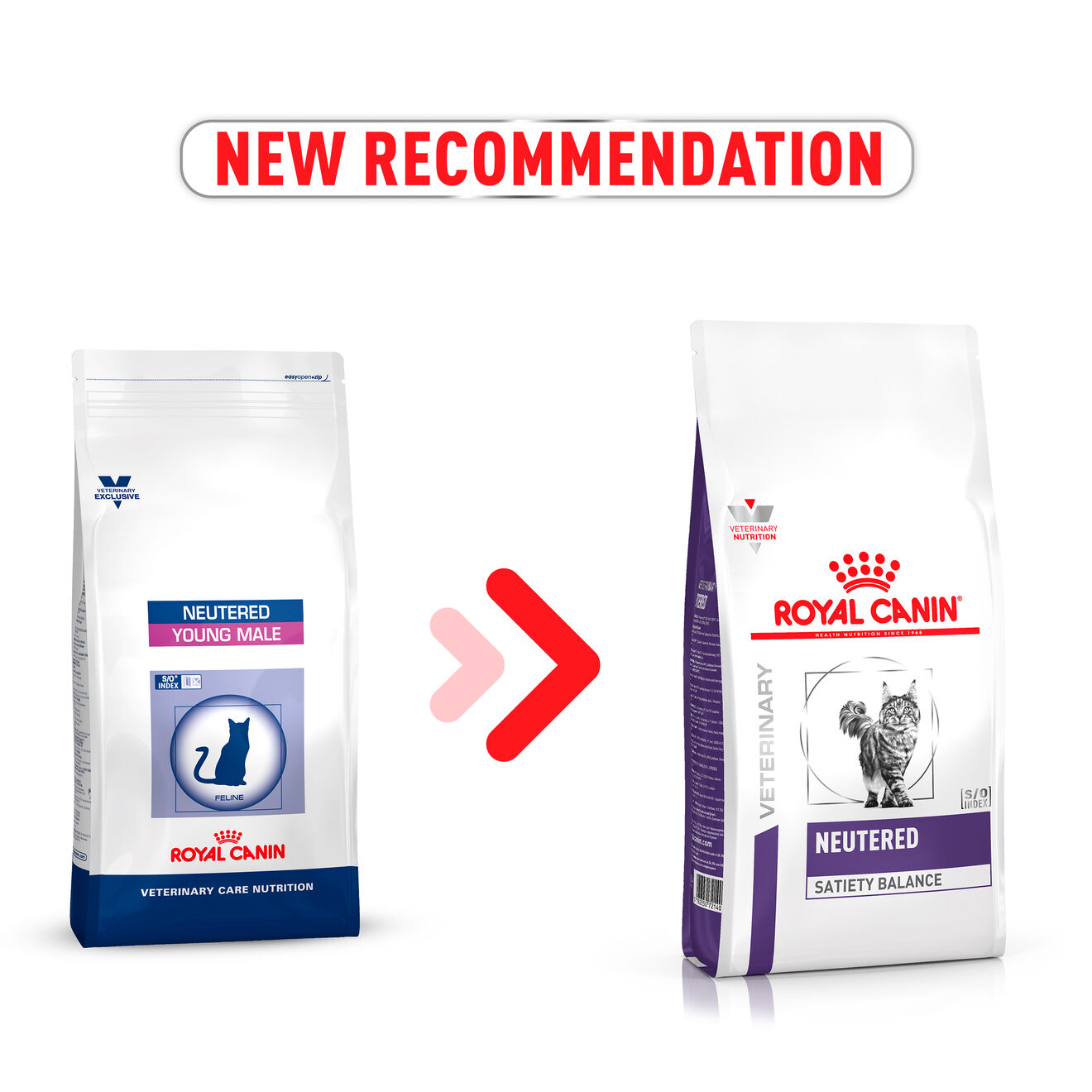 Royal canin neutered satiety. Корм Роял Канин Neutered satiety Balance. Роял Канин Ньютрид Сатиети баланс. Royal Canin Neutered для кошек. Royal Canin Skin young male.