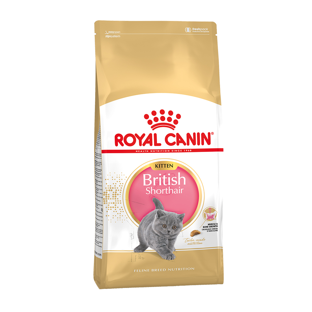 royal canin british shorthair kitten food 10kg