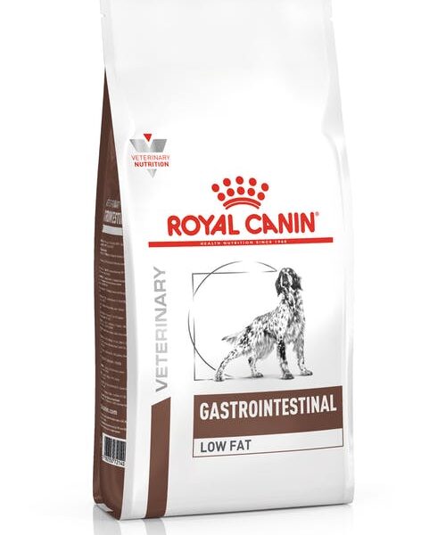 royal canin vd cat gastro intestinal