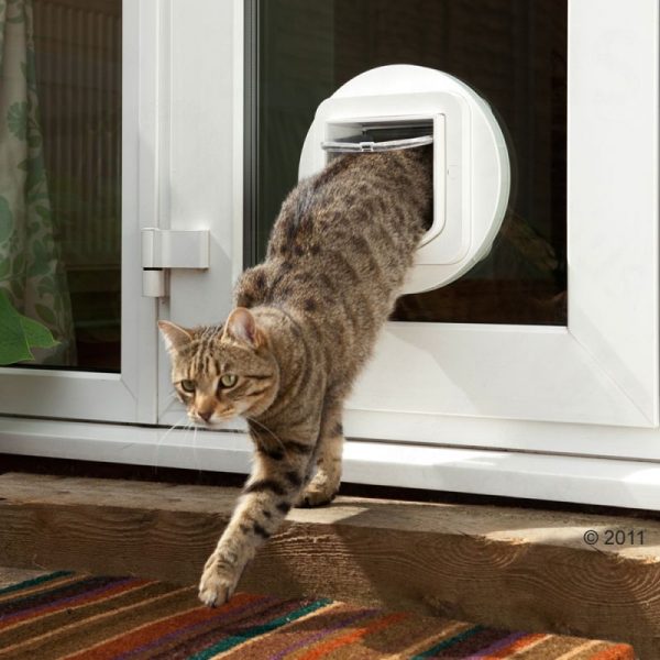 Дверки для кошек